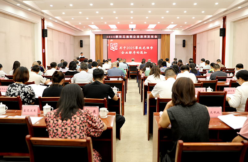 擘畫藍圖 聚勢而進 攀枝花發布2025強勢企業排序榜單 ——政企同心共謀高質量發展新篇章